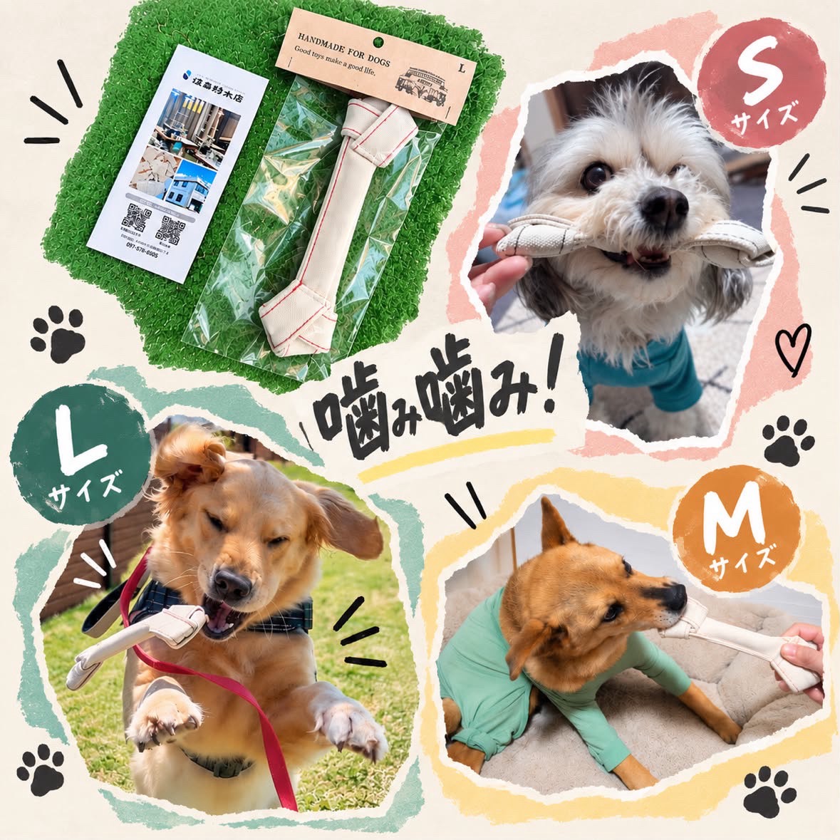 ドッグギア「HONE」と遊ぶ犬たち