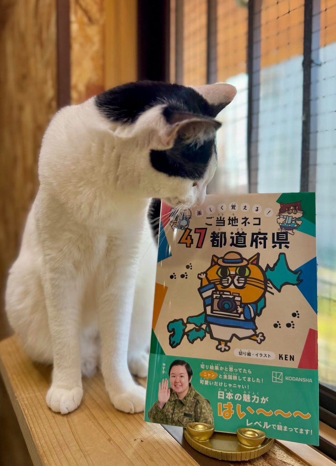 KENの書籍『ご当地ネコ』と猫